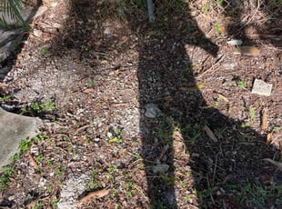 Cleanups by Reynald Andre for Whitney M. in Lauderdale Lakes, FL