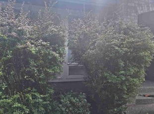 Bush Trimming by Robert Martin for Joseph a. in Sammamish, WA