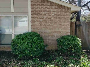 Bush Trimming by Gerald Murphy for Wendy H. in Arlington, TX