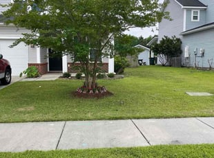 Rolla P.'s Lawn Mowing service result
