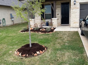 Mulching by Aldo Mancha for Jennifer M. in San Antonio, TX