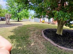 Landscaping by Eric Cotto for Tee A. in Lithonia, GA