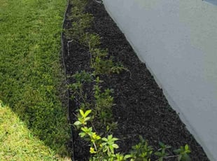 Bush Trimming by Carlos Martinez for Aaron S. in CHAMPIONS GT, FL