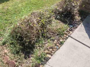 Leaf Removal by Linda Jones for Michael C. in Conroe, TX