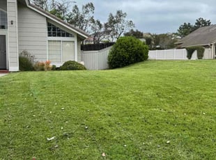 Estelle F.'s Lawn Care service result