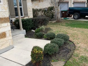 Bush Trimming by Stanmore Hinds for Symitria E. in Converse, TX