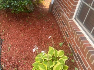 Lucinda L.'s Flower Bed Weeding service result