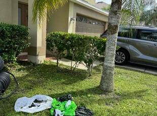 Bush Trimming by Efrain Marrero for Amanda E. in Wesley Chapel, FL