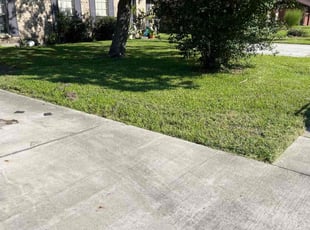 Susan K.'s Lawn Maintenance service result
