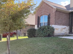 Bush Trimming by Miguel Garcia for Dorian L. in San Antonio, TX