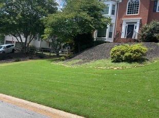 Vanessa S.'s Lawn Mowing Service service result