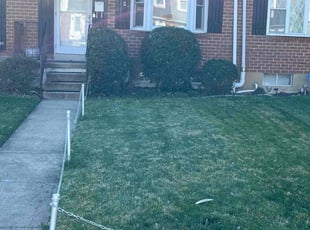 Bush Trimming by Baba Al for Denise M. in Halethorpe, MD