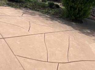 Leaf Removal by Robert Thomas for Latonya B. in Roseville, CA
