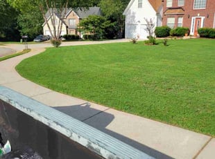 Charles L.'s Lawn Mowing service result