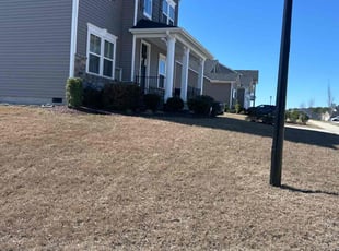 Bush Trimming by Brandon Chapman for Eric R. in Raleigh, NC