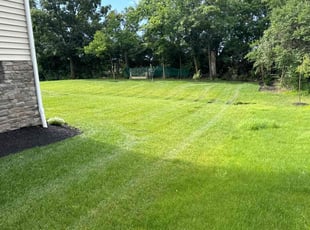 Elijah B.'s Lawn Mowing Service service result