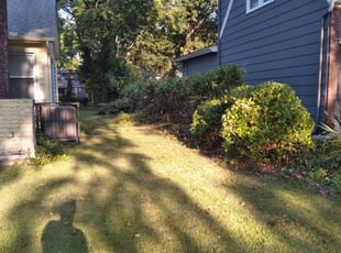 Bush Trimming by Julio Almestica for Nellie M. M. in Kansas City, MO