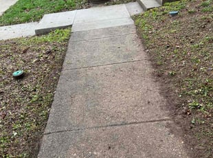 Leaf Removal by Dimas Lopez for Michael W. in Columbia, MD
