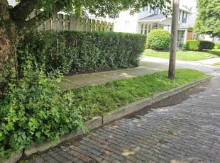 Bush Trimming by Leroy Green II for Nate S. in Columbus, OH