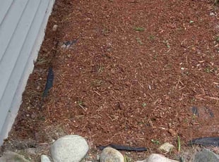 Weeding by John Bouis for Dianna c. in Kirkland, WA