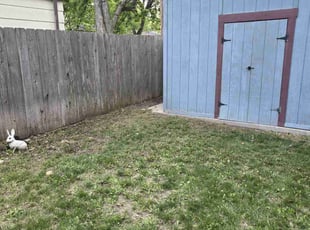 Cleanups by Chad Suenram for Cynthia E. in Wichita, KS