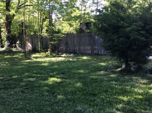 Cleanups by Alex Garcia for Rose D. in Parkville, MD