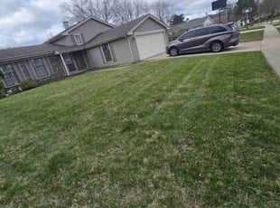 Irma D.'s Lawn Mowing Service service result