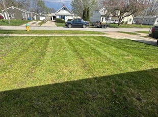Amy S.'s Lawn Mowing service result