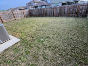 Paul B.'s Lawn Service service result