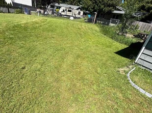 Kathy P.'s Lawn Service service result