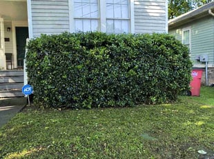 Bush Trimming by Thomas Patillo for Caroline C. in Macon, GA