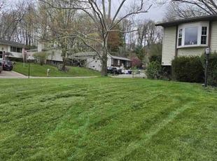 Melissa L.'s Lawn Care service result