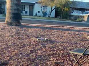 Cleanups by Jimmy & Brandi Alvarado for Elizabeth S. in Glendale, AZ