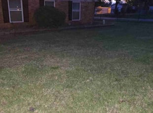 Cleanups by Sean Dusenberry for Debbie D. in Blanchard, OK