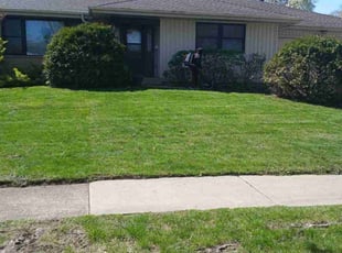 Debbie C.'s Lawn Care service result