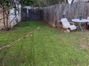Cleanups by Nate Collins for Joseph N. in Arlington, TX