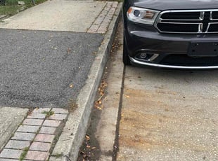 Leaf Removal by Lamarcus Holmes for Maria C. in Jacksonville, FL