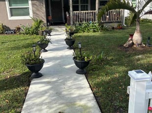 Alexandra S.'s Lawn Care service result