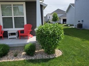 Bush Trimming by David Dawson for Kerry M. in Madison, WI