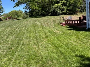 Marianne B.'s Lawn Service service result