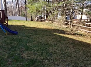 Leaf Removal by Miguel Santos for Shannon D. in Gaithersburg, MD
