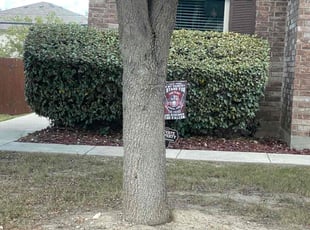 Bush Trimming by Lacy Dixon for Carrie M. in San Antonio, TX