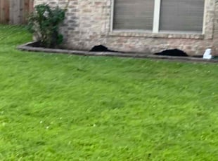 Nikita H.'s Mulching service result