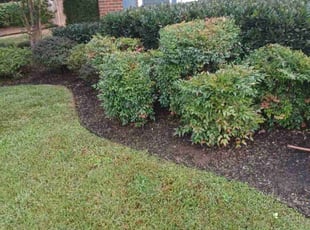 Weeding by Kelly Scarborough for Jennie F. in Woodbridge, VA