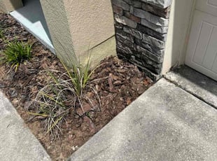Weeding by Jose Disla; for Morgan T. in Haines City, FL