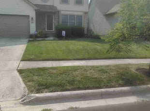 Maura J.'s Lawn Mowing Service service result