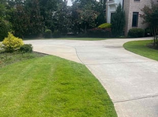 Carlos M.'s Grass Cutting service result