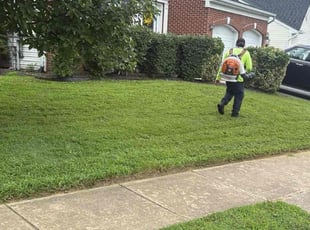 Jakarra H.'s Bush Trimming service result