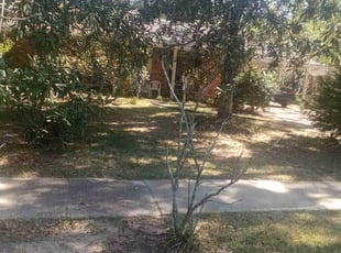 Leaf Removal by Gregory Lewis for Betti G. in Baton Rouge, LA