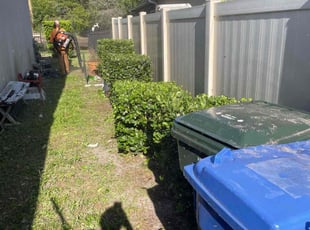 Bush Trimming by Michael Van Deest for Amelia C. in Oviedo, FL